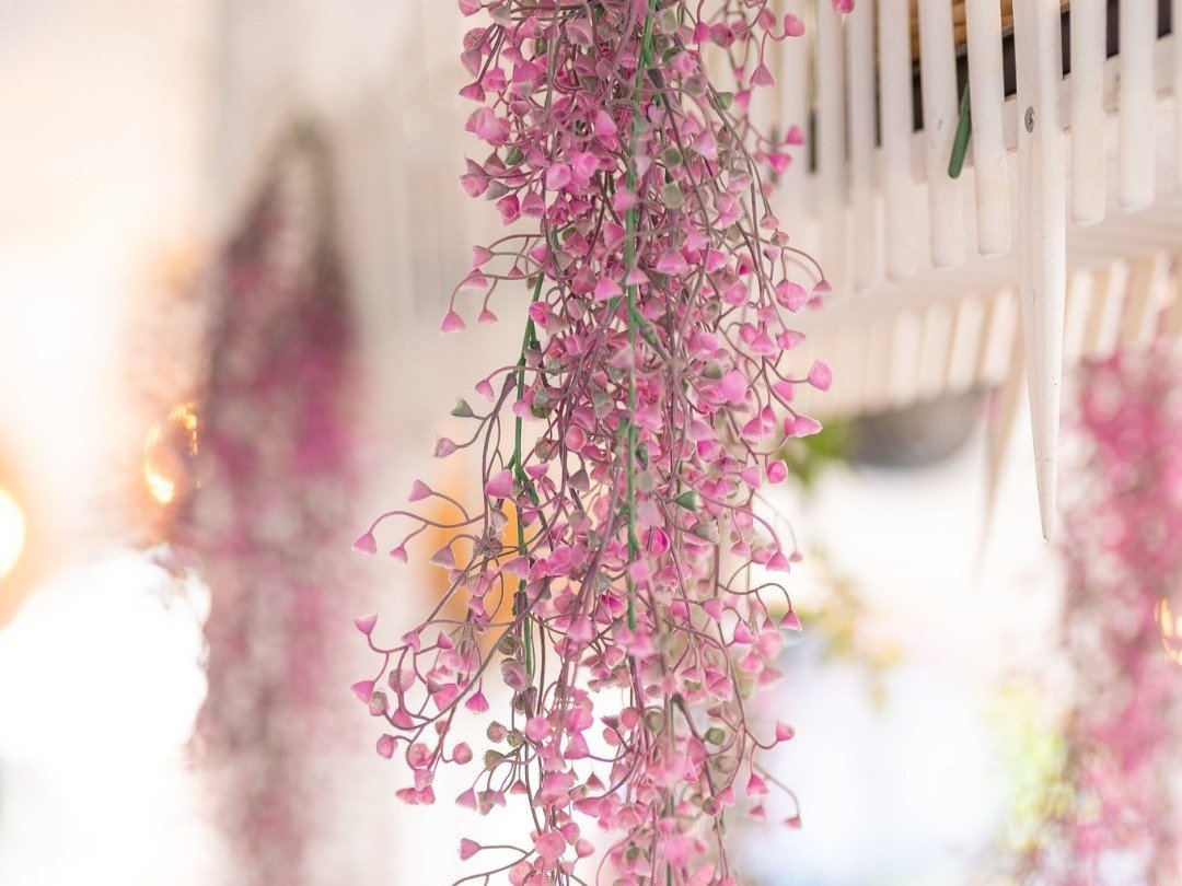 Welcome to our brand new website!