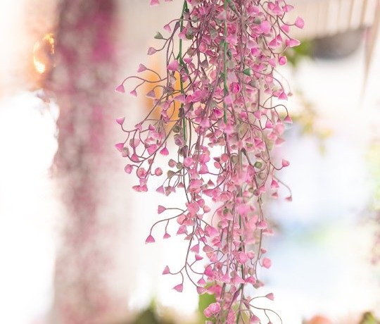 La Piazza Mandilara Rhodes